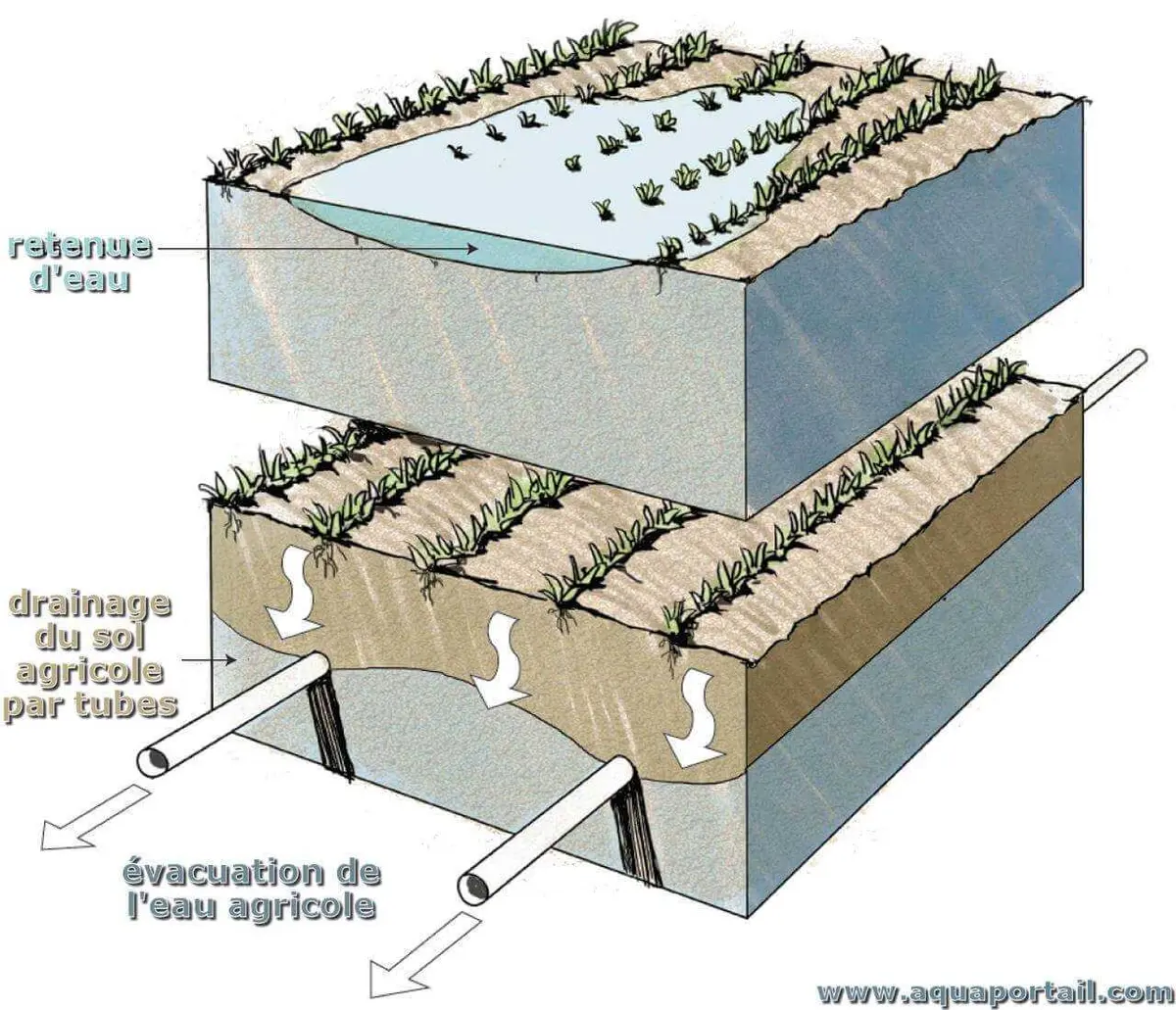Dévoiler l’Art de la Conception des Systèmes de Drainage en IDF et 95