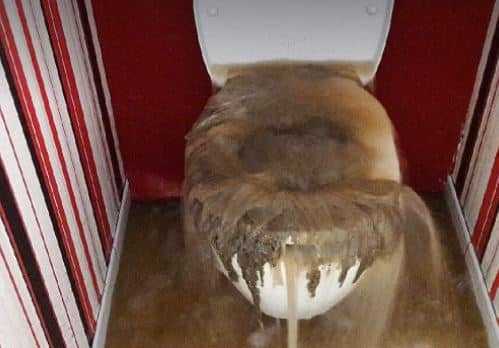 toilette bouchée