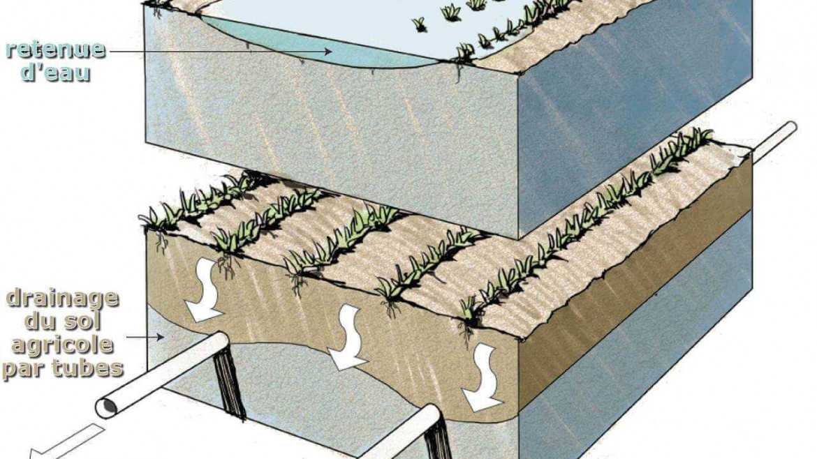 Conception de Systèmes de Drainage en IDF et 95 : Art et Expertise