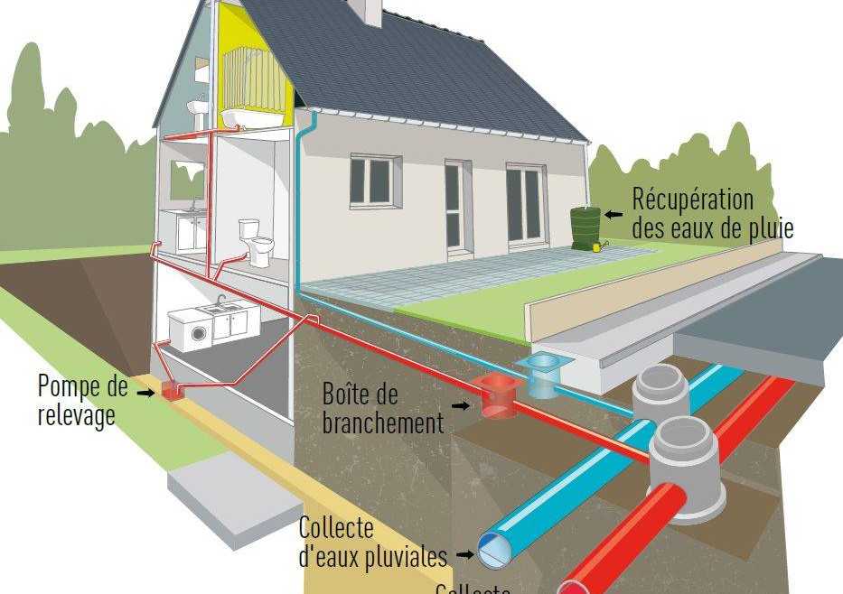 Le Rôle des Micro-organismes